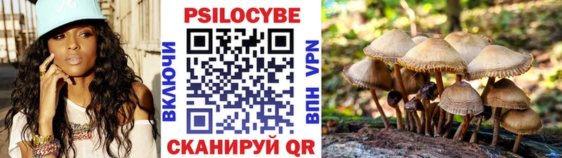 Купить закладки  Весьегонск  Галлюциногенные грибы Psilocybine cubensis 