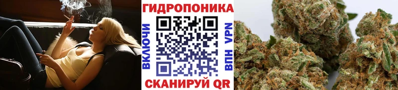 Купить  Весьегонск  Марихуана OG Kush 